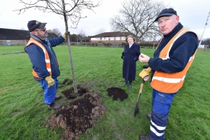 Oak Tree Planted in Tribute to Town's NHS Covid Heroes