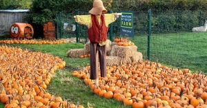 Halloween fun for all the family at Newham Grange