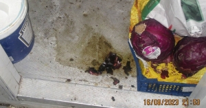 TAKEAWAY OWNER DODGES JAIL OVER HEALTH RISK PREMISES