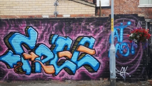 From Filth and Vermin to Amazing Artwork in Alley Transformation