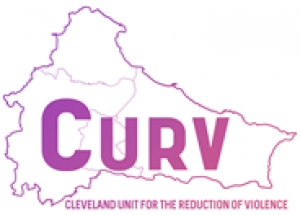 Community member sought for violence reduction group