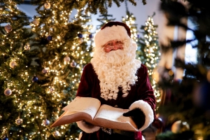 Christmas Town Winter Wonderland at Newham Grange