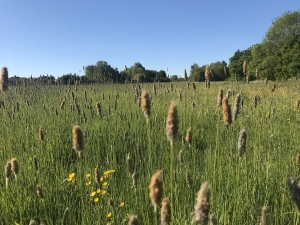 New Proposals Made for Major Country Park at Stainsby