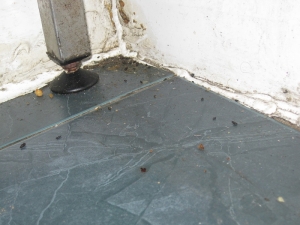 Takeaway Owner Fined Over Food Hygiene Breaches