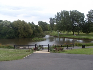 Silver Jubilee Green Flag Clean Sweep for Town's Parks