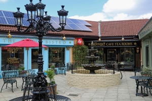 Mayor to Open Pioneering Care Home With a Difference