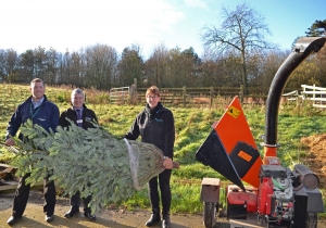 Have your real Christmas Tree collected by Teesside Hospice
