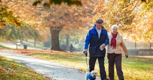 Falls Awareness Week 2024: Steady On Your Feet