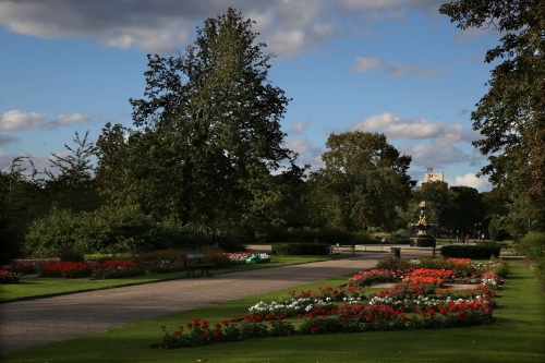 Picnics in town's parks a treat for all the family