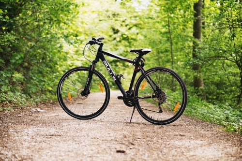 Popular Half Term Learn to Ride Sessions Return
