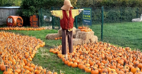 Halloween fun for all the family at Newham Grange
