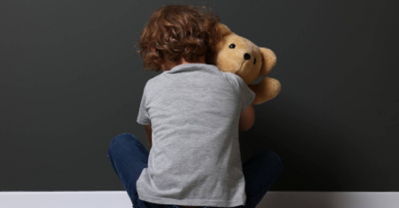 Urgent call sounded for new foster carers