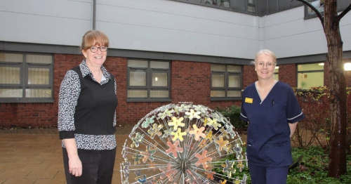 Why a mum-of-one from Teesside wants you to become a living kidney donor