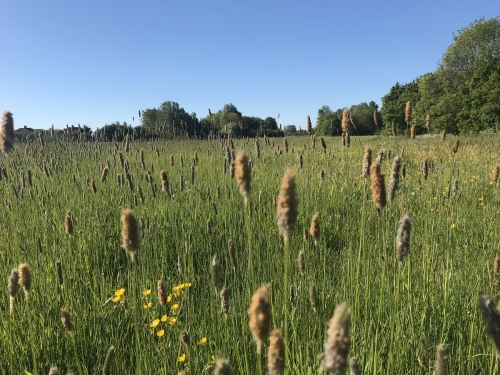 New Proposals Made for Major Country Park at Stainsby